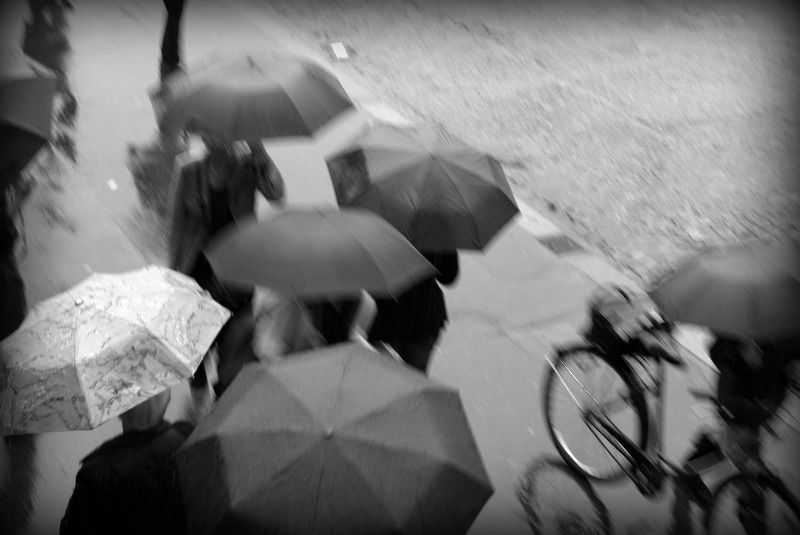 Pluie-et-parapluie-2