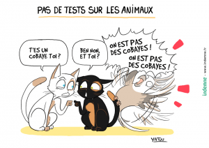 pas de tests sur les animaux