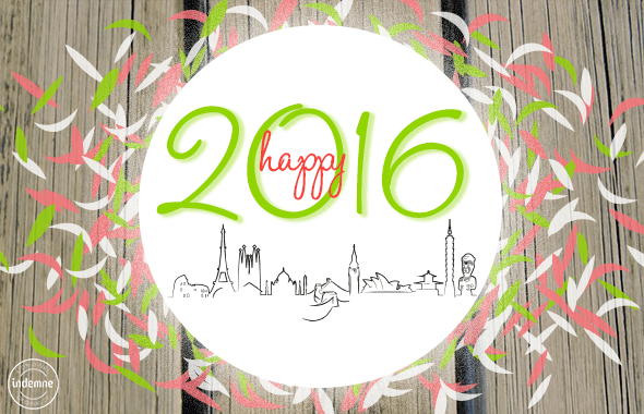 INDEMNE souhaite une bonne année 2016 à tous ses clients