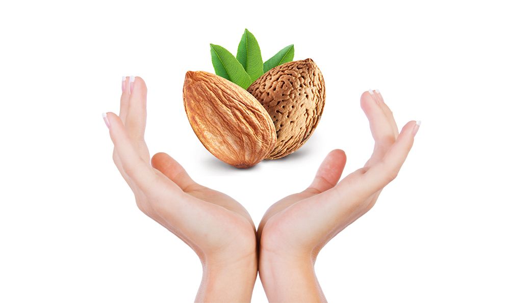 Sweet almond oil benefits