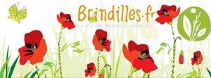 Logo Brindilles
