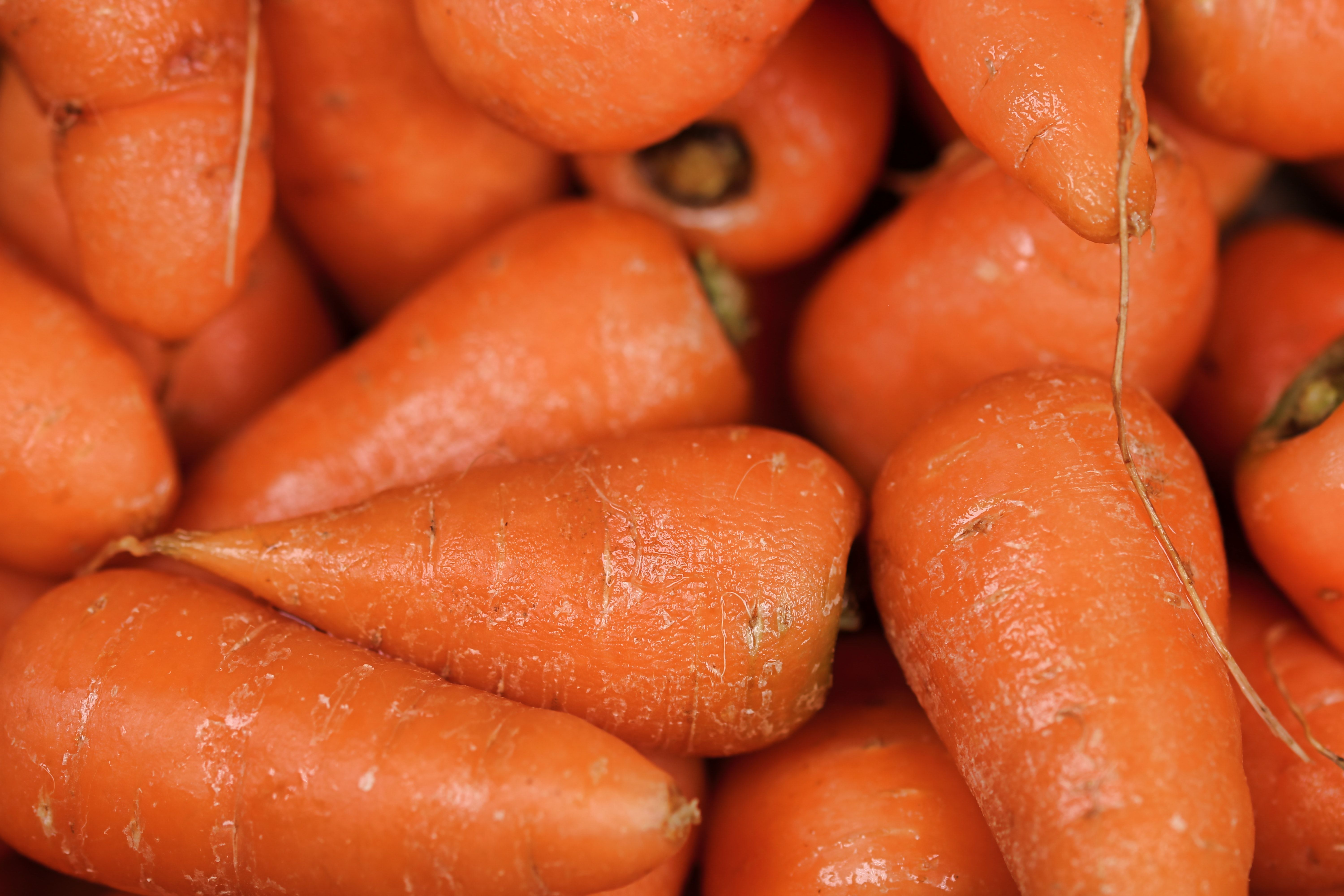 К чему снится морковь свежая. Морковь. Овощи морковь. Оранжевая морковка. Одна морковка.