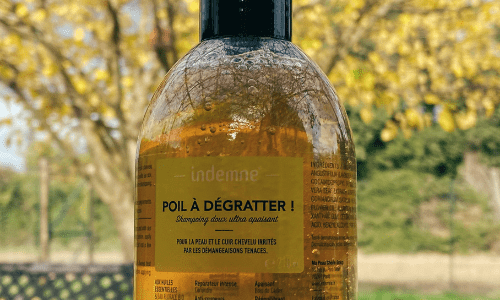 Poil à Dégratter !, shampoing antipelliculaire naturel et efficace