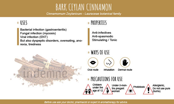 Bark ceylan cinnamon essential oil