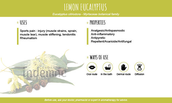 Lemon Eucalytpus essential oil