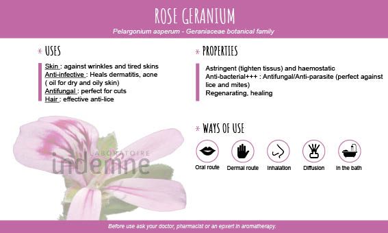 Geranium rosat essential oil
