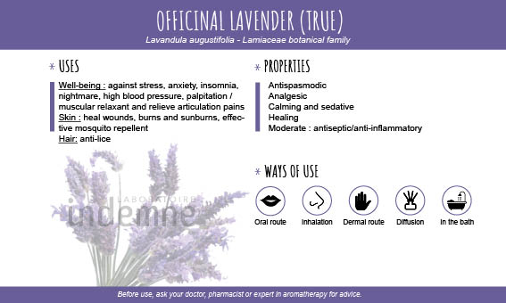 Lavender officinalis essential oil