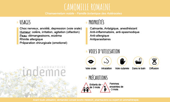 Huile essentielle de Camomille Romaine