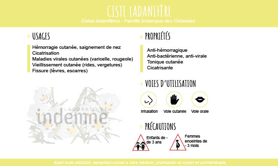 Huile essentielle de Ciste lanadifière