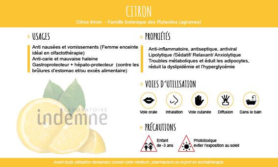 Propriétés, utilisations et précautions de l'huile essentielle de Citron