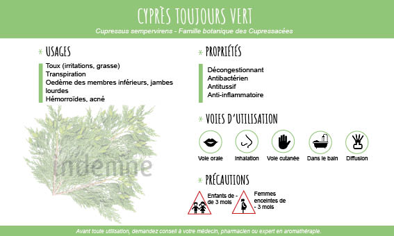 Huile essentielle de Cyprès toujours vert